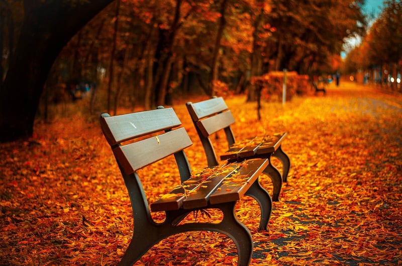 Fall gardening